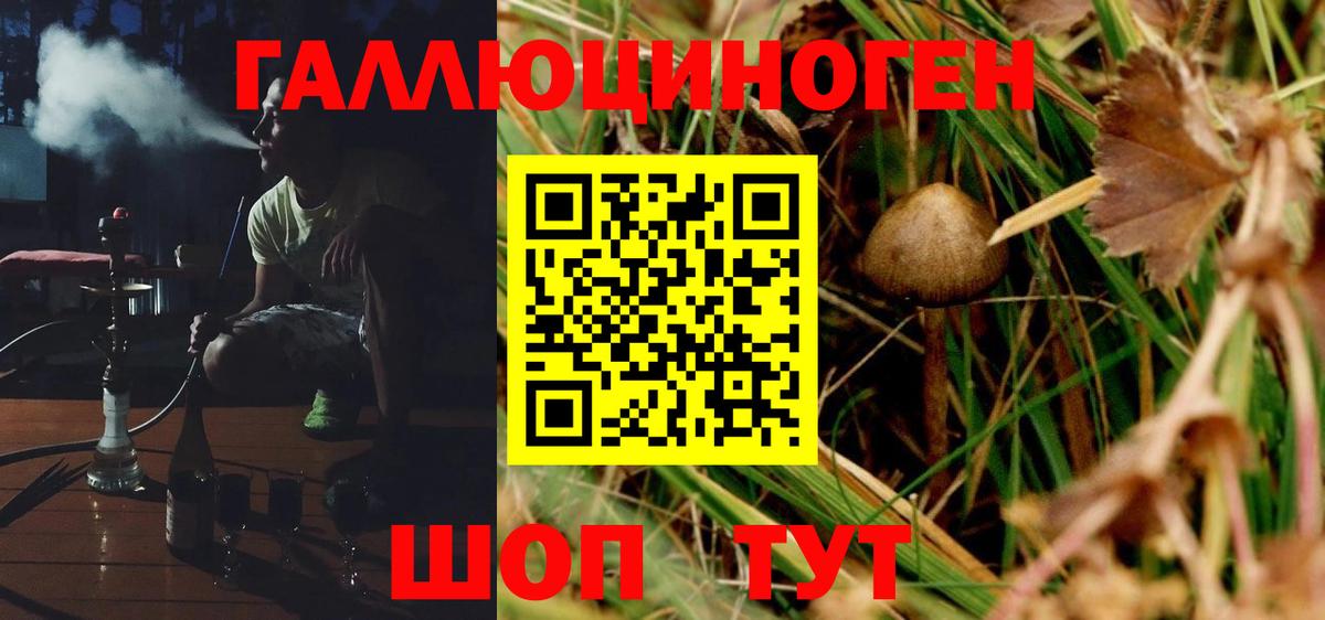 Кандалакша  дарнет шоп  Вход с VPN  Псилоцибиновые грибы Psilocybine cubensis 