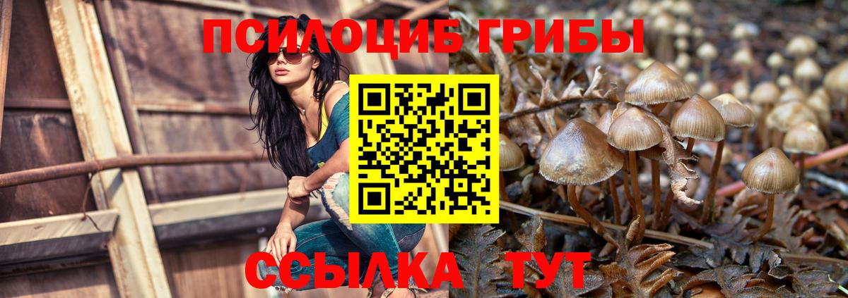 Галлюциногенные грибы Cubensis Кандалакша
